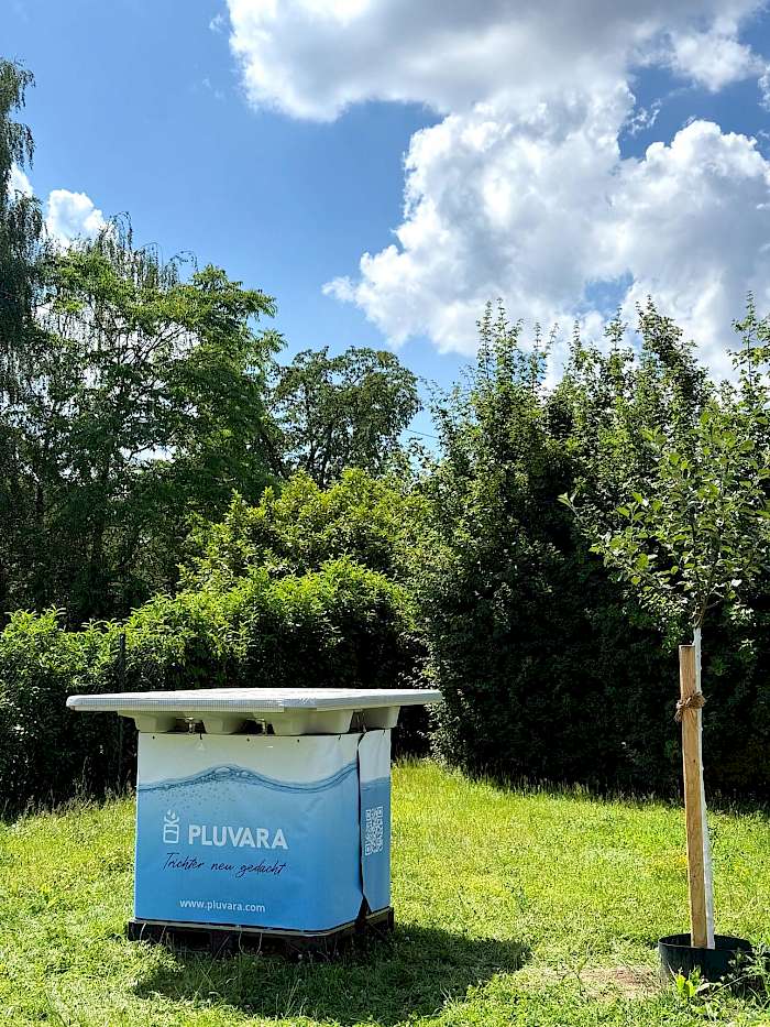 innovatives Regenwassersammelsystem für die Stadtbegrünung