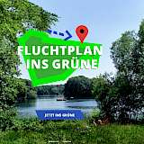 Quelle: Google, Insgrüne